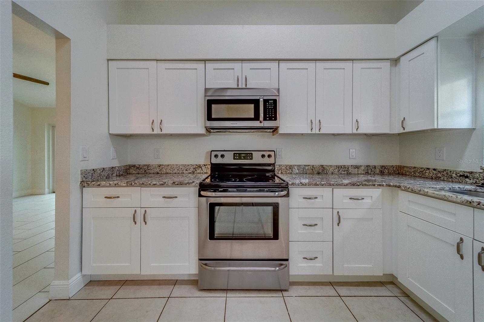 11607 BRANCH MOORING DR, TAMPA, FL, 33635