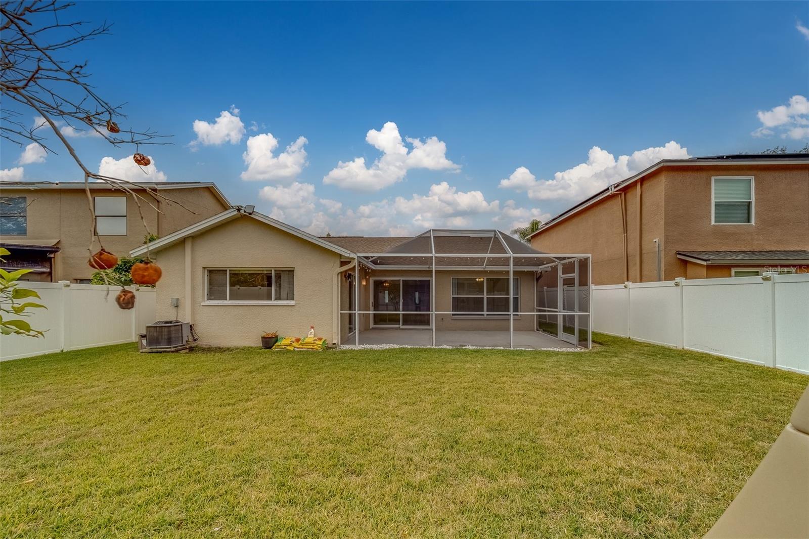 11607 BRANCH MOORING DR, TAMPA, FL, 33635