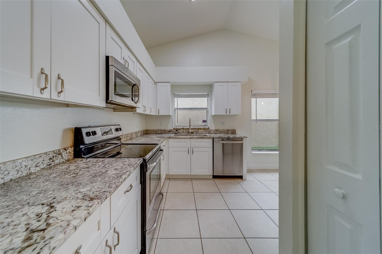 11607 BRANCH MOORING DR, TAMPA, FL, 33635