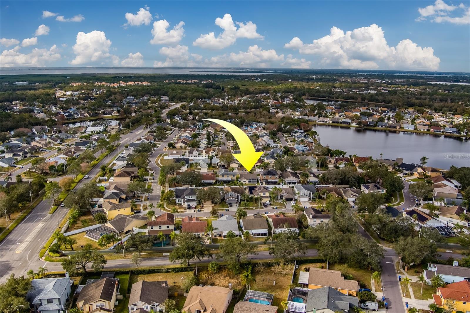 11607 BRANCH MOORING DR, TAMPA, FL, 33635