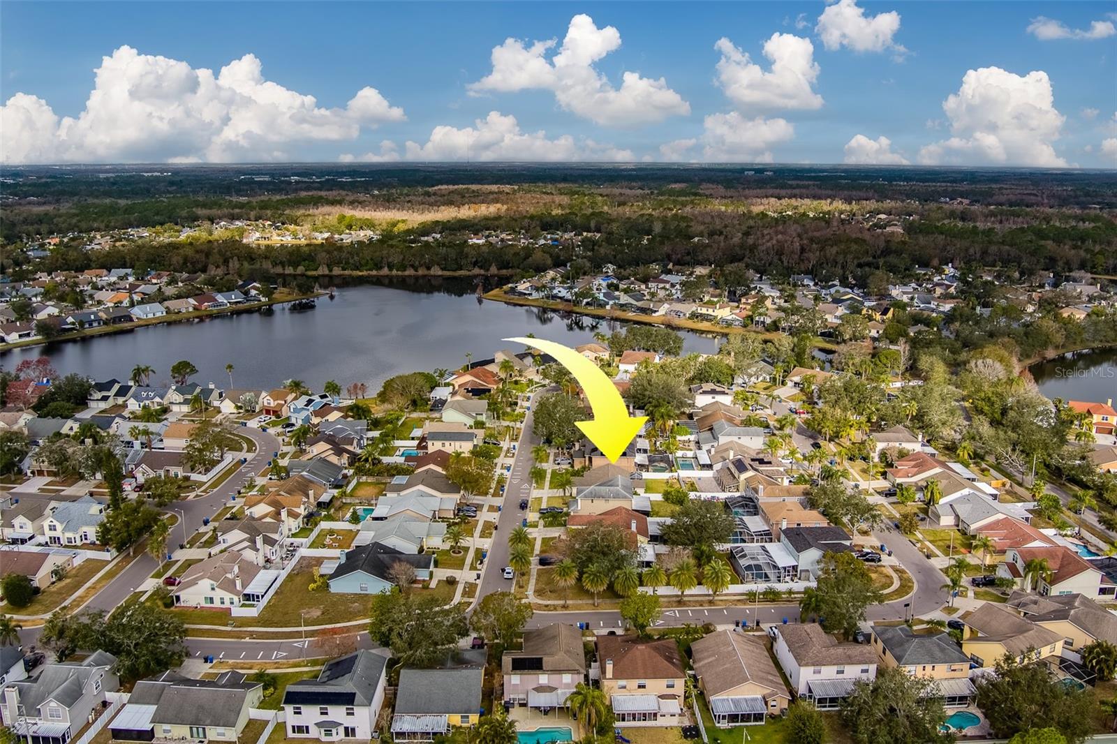 11607 BRANCH MOORING DR, TAMPA, FL, 33635