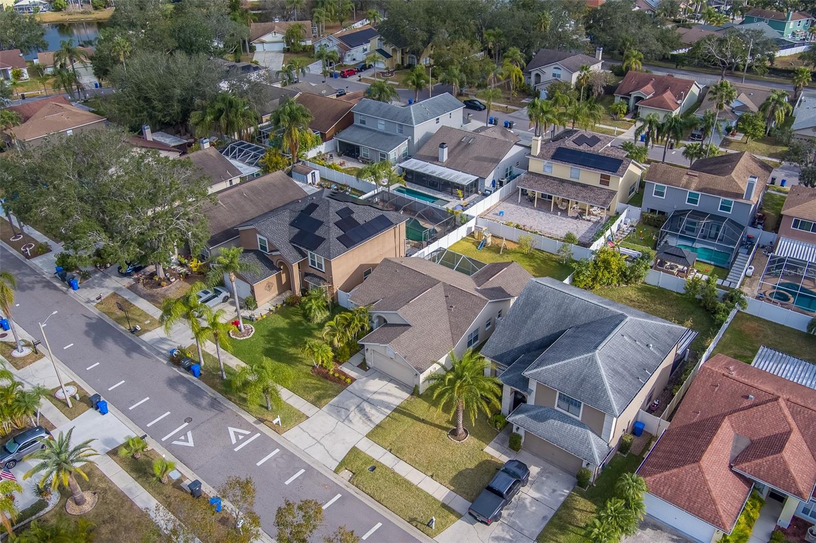 11607 BRANCH MOORING DR, TAMPA, FL, 33635