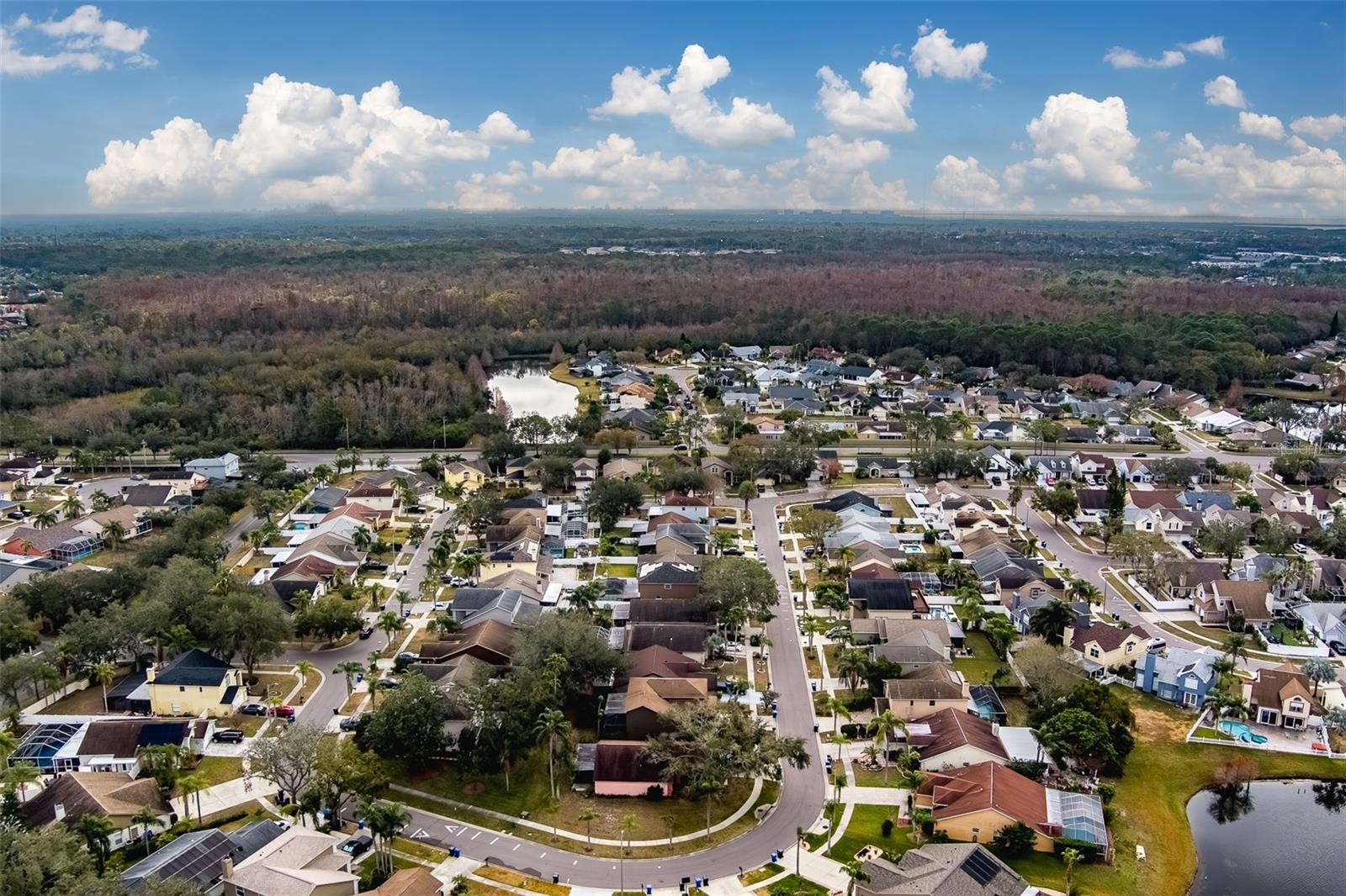 11607 BRANCH MOORING DR, TAMPA, FL, 33635