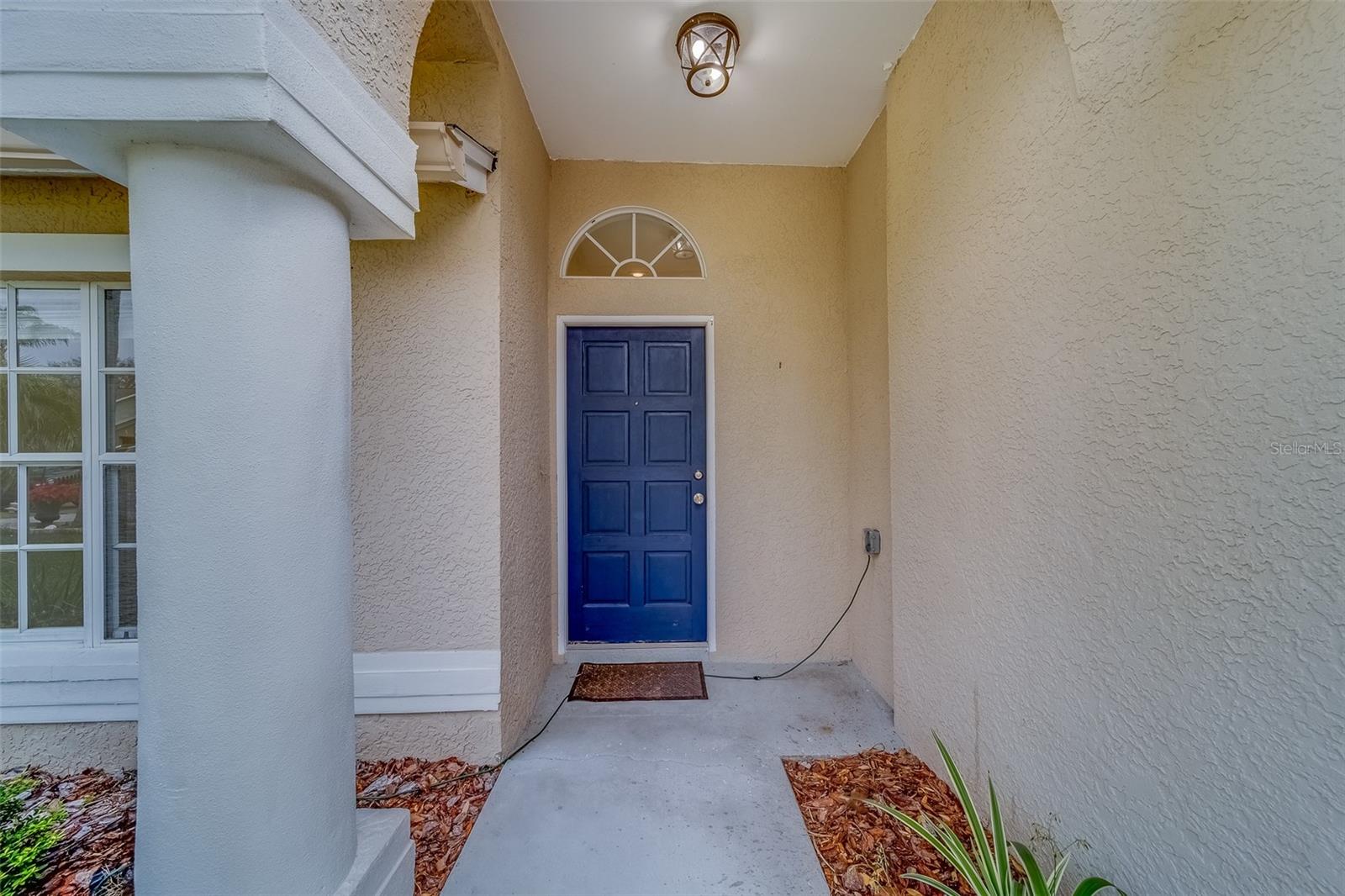 11607 BRANCH MOORING DR, TAMPA, FL, 33635