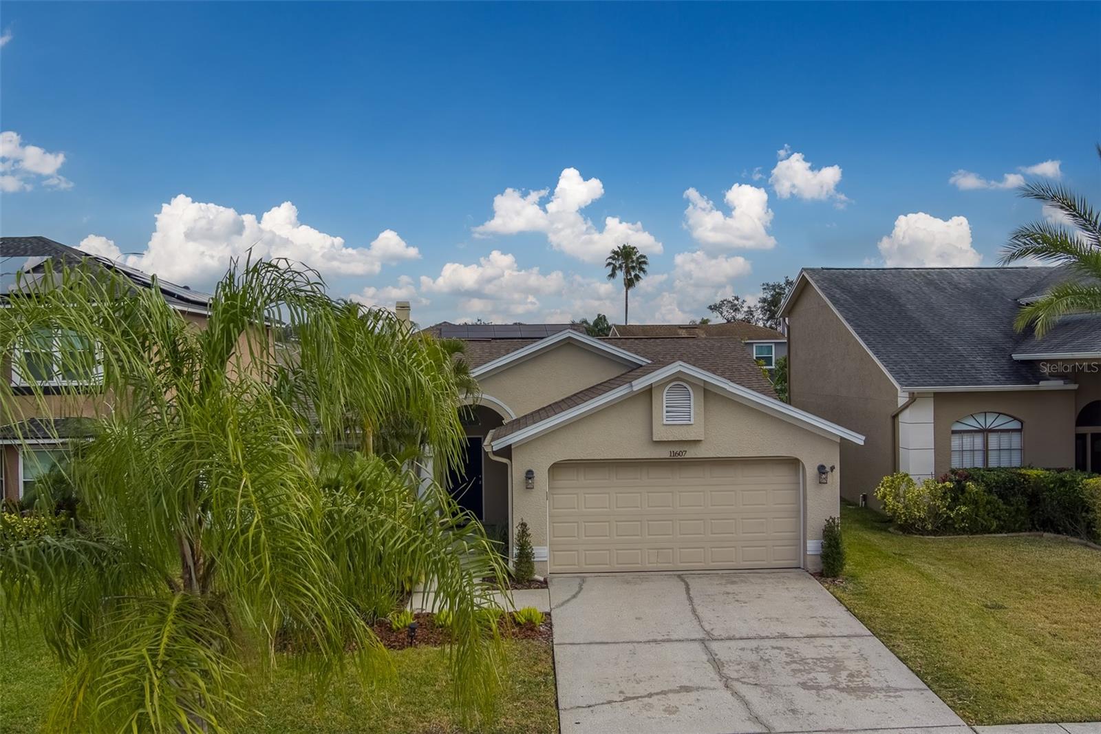 11607 BRANCH MOORING DR, TAMPA, FL, 33635