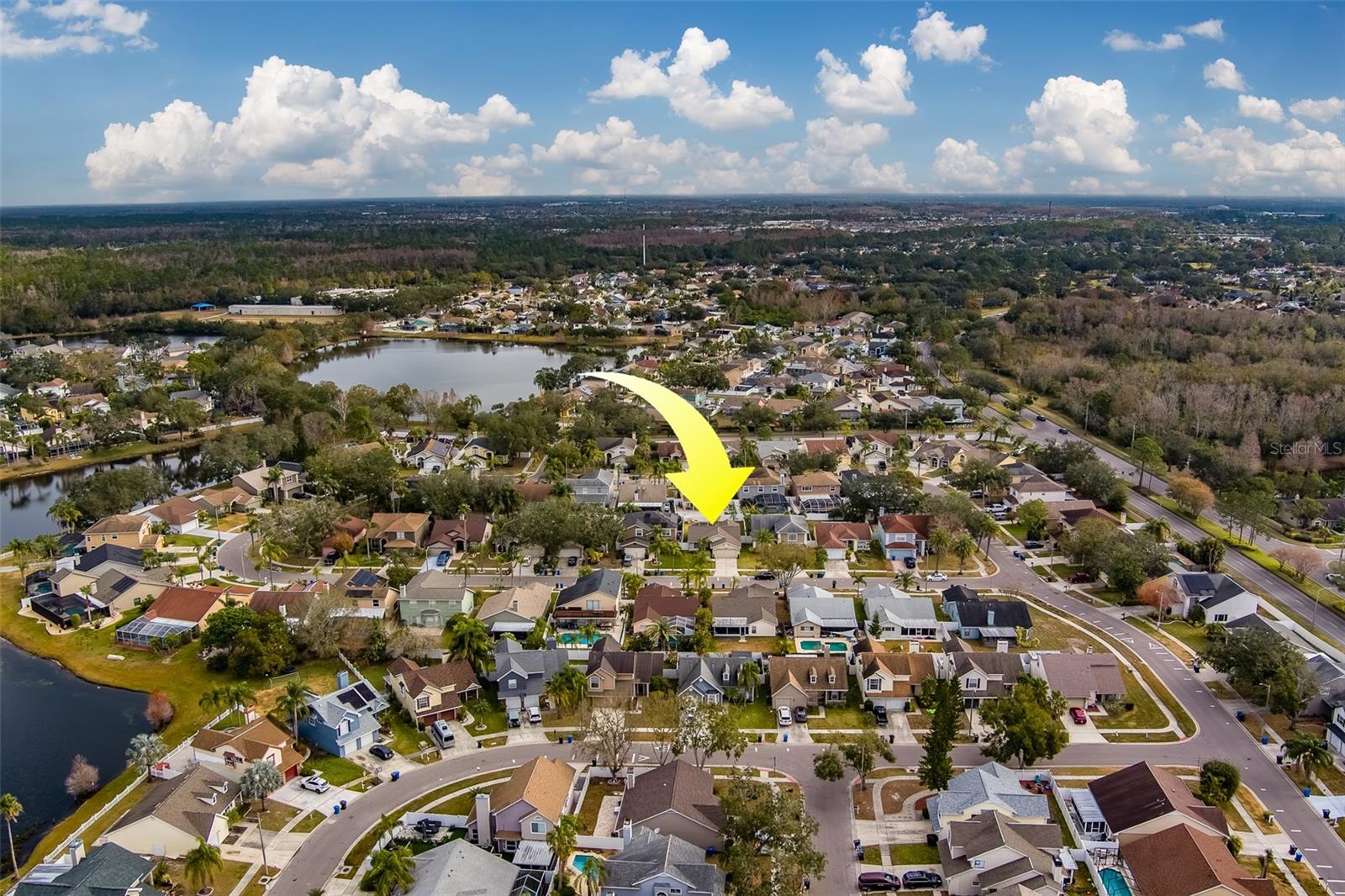 11607 BRANCH MOORING DR, TAMPA, FL, 33635