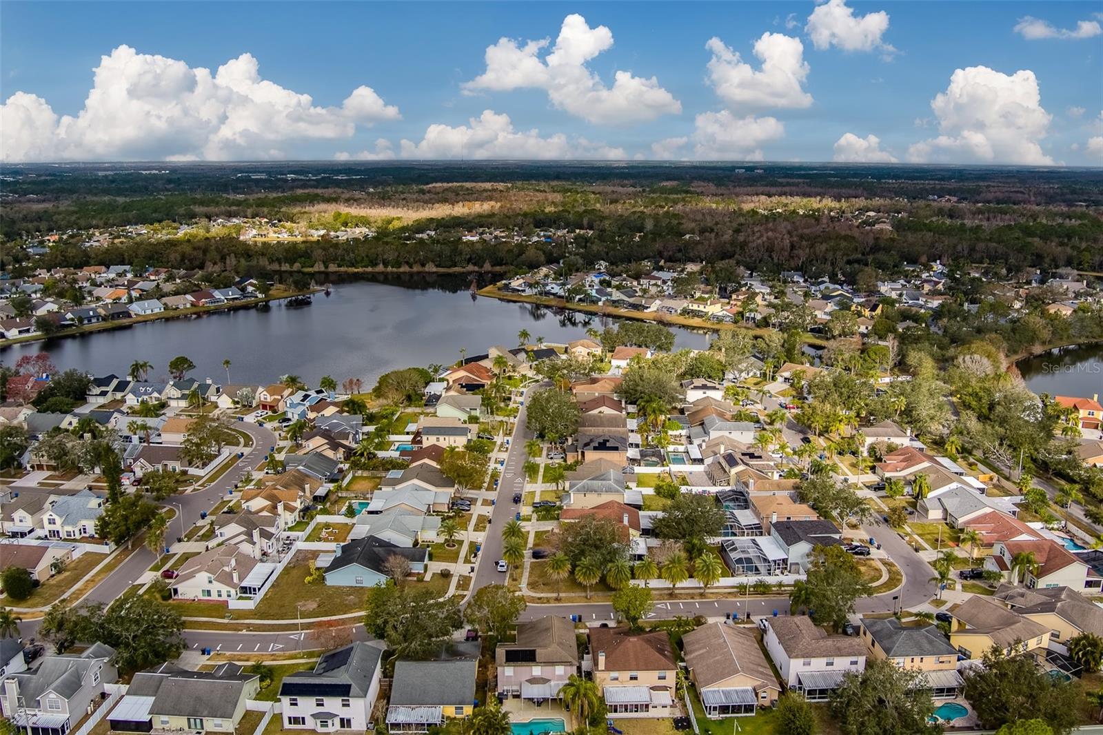 11607 BRANCH MOORING DR, TAMPA, FL, 33635