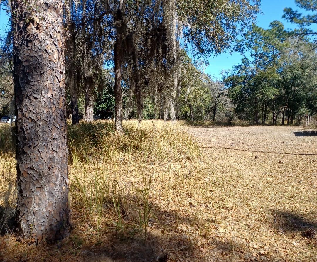 Lot 9 SW 207TH CT, DUNNELLON, FL, 34431