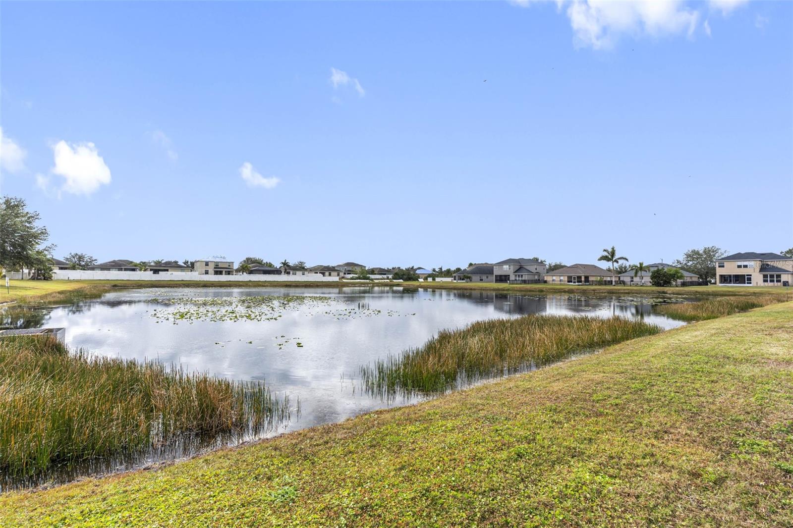 12317 CEDARFIELD DR, RIVERVIEW, FL, 33579