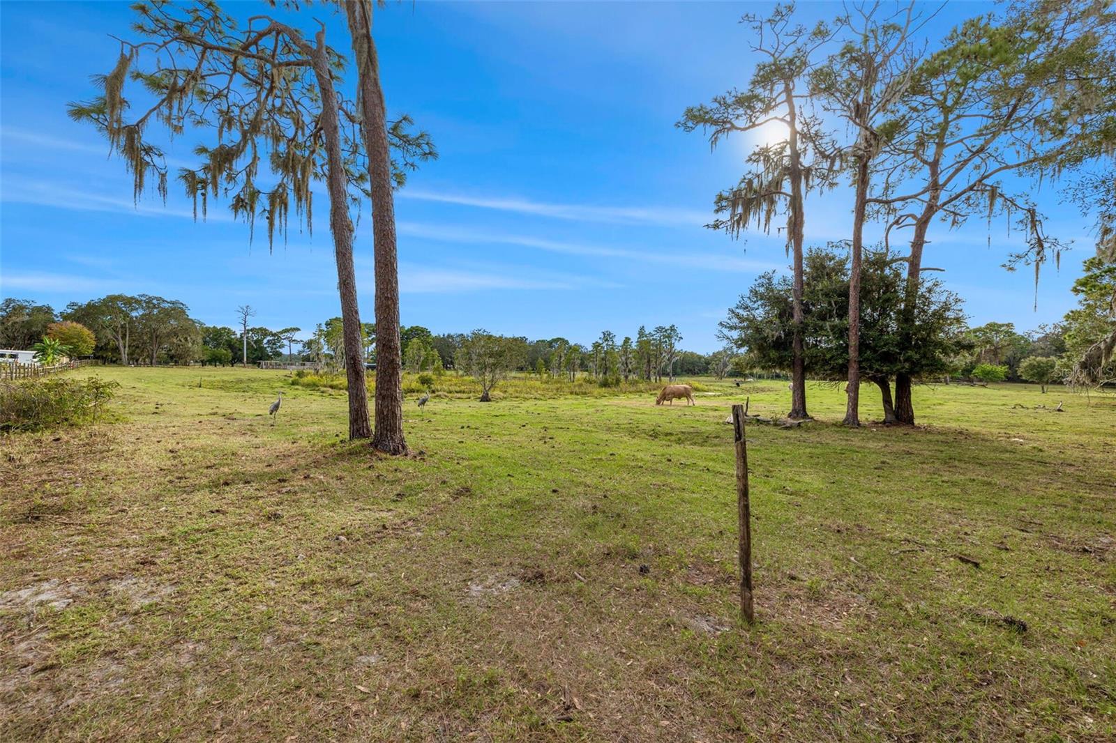 19050 TYLER RD, ODESSA, FL, 33556