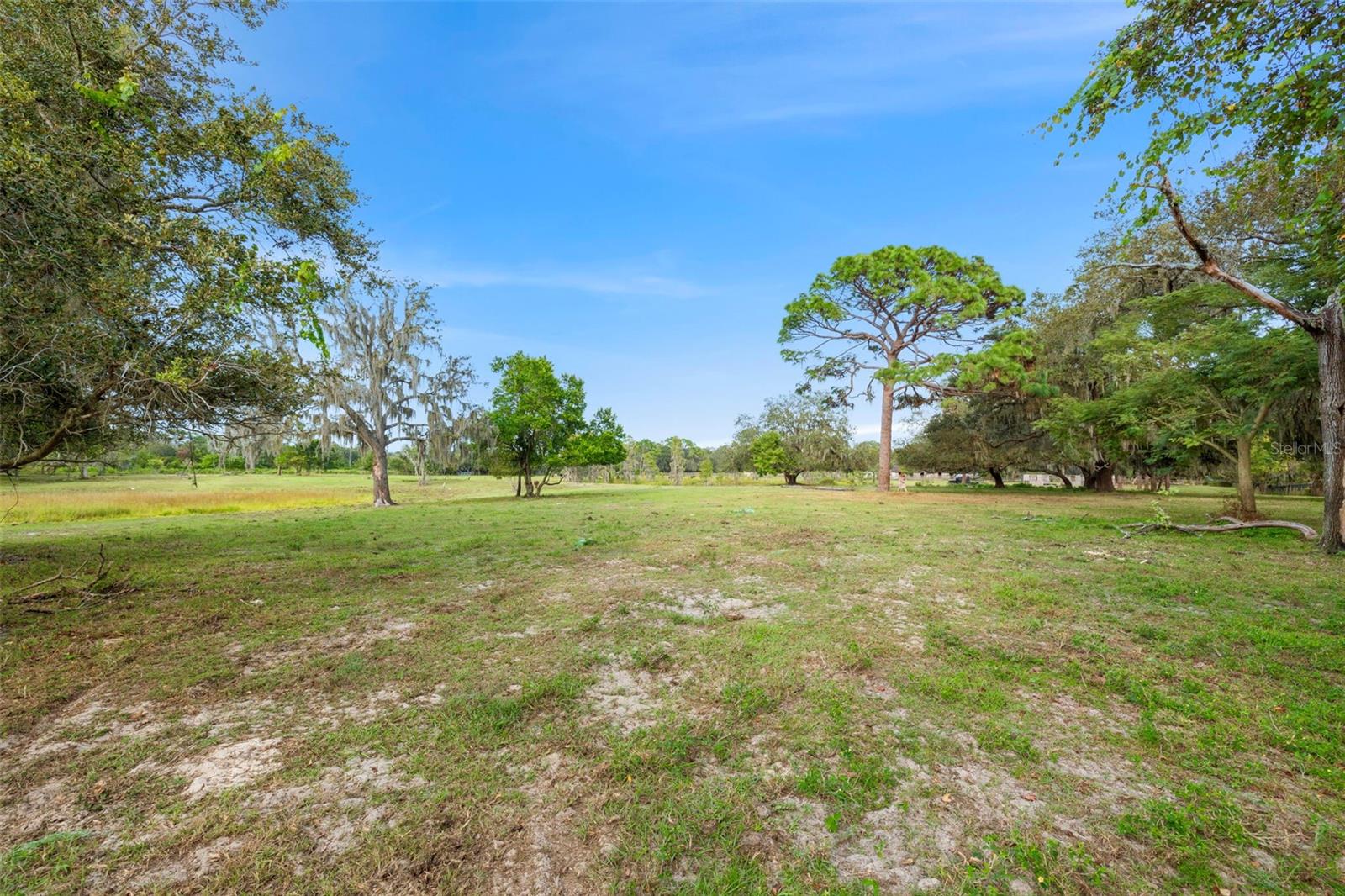 19050 TYLER RD, ODESSA, FL, 33556
