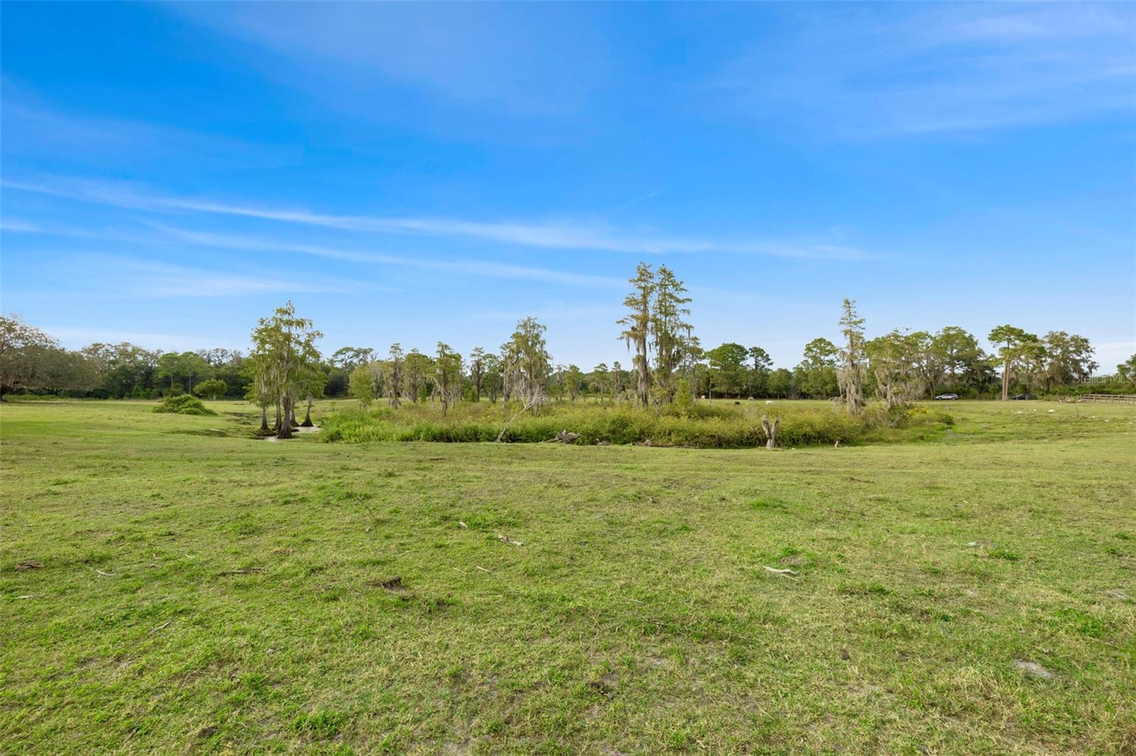 19050 TYLER RD, ODESSA, FL, 33556
