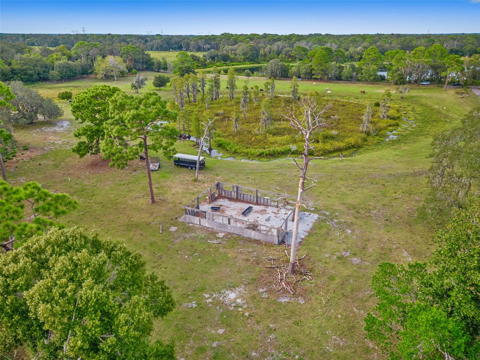 19050 TYLER RD, ODESSA, FL, 33556