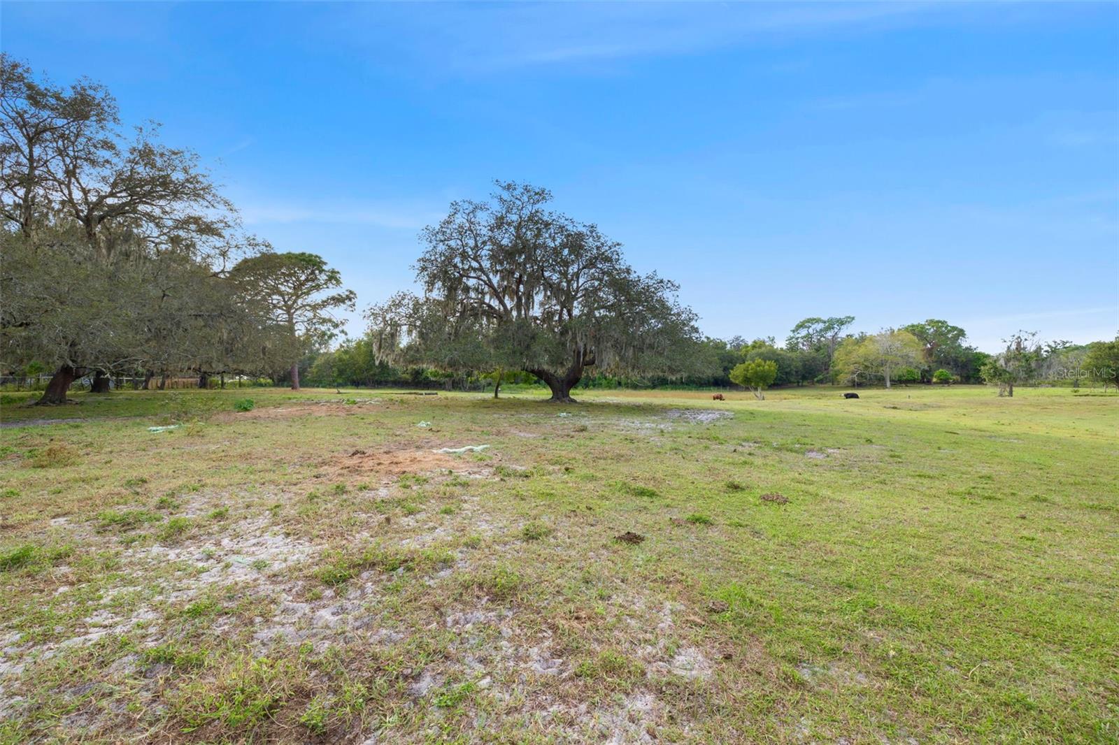 19050 TYLER RD, ODESSA, FL, 33556