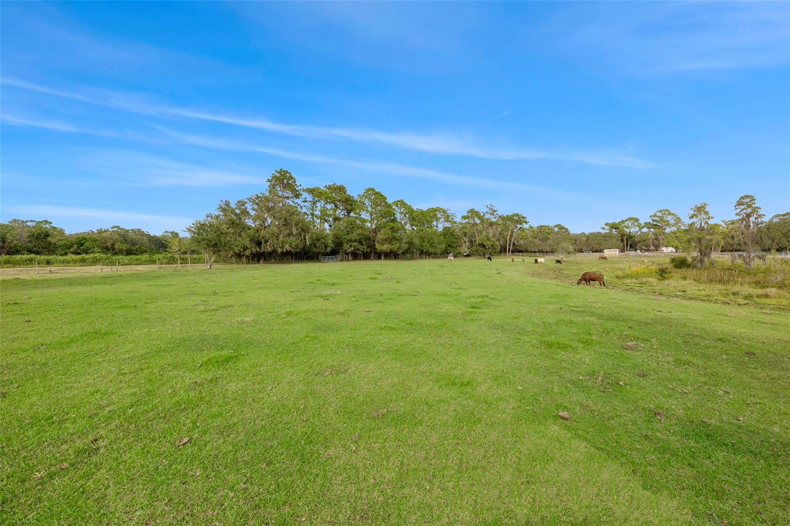 19050 TYLER RD, ODESSA, FL, 33556