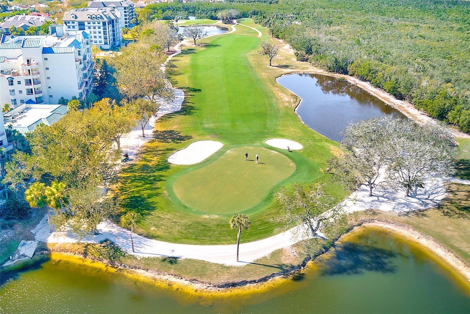 2333 FEATHER SOUND DR #A510, CLEARWATER, FL, 33762