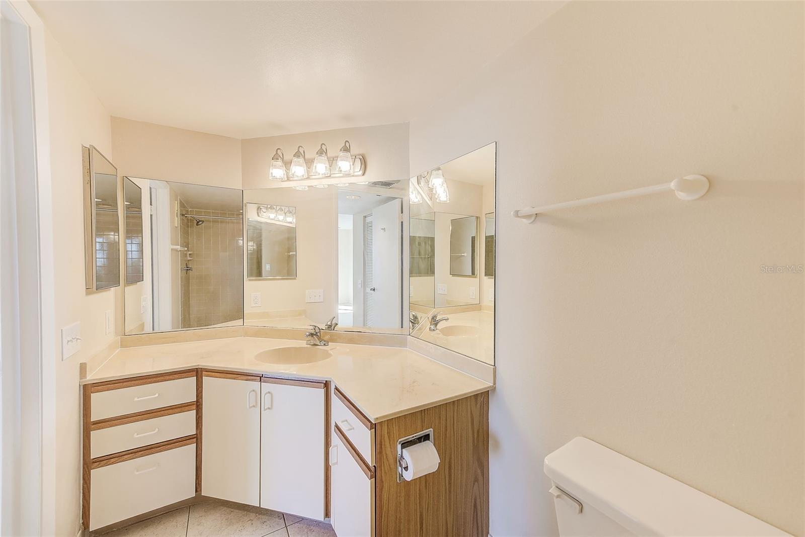 2333 FEATHER SOUND DR #A510, CLEARWATER, FL, 33762