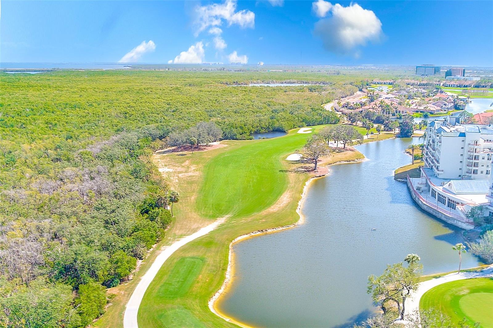 2333 FEATHER SOUND DR #A510, CLEARWATER, FL, 33762