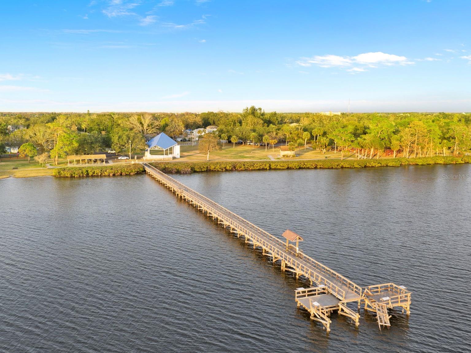 316 SHORE DR E, OLDSMAR, FL, 34677