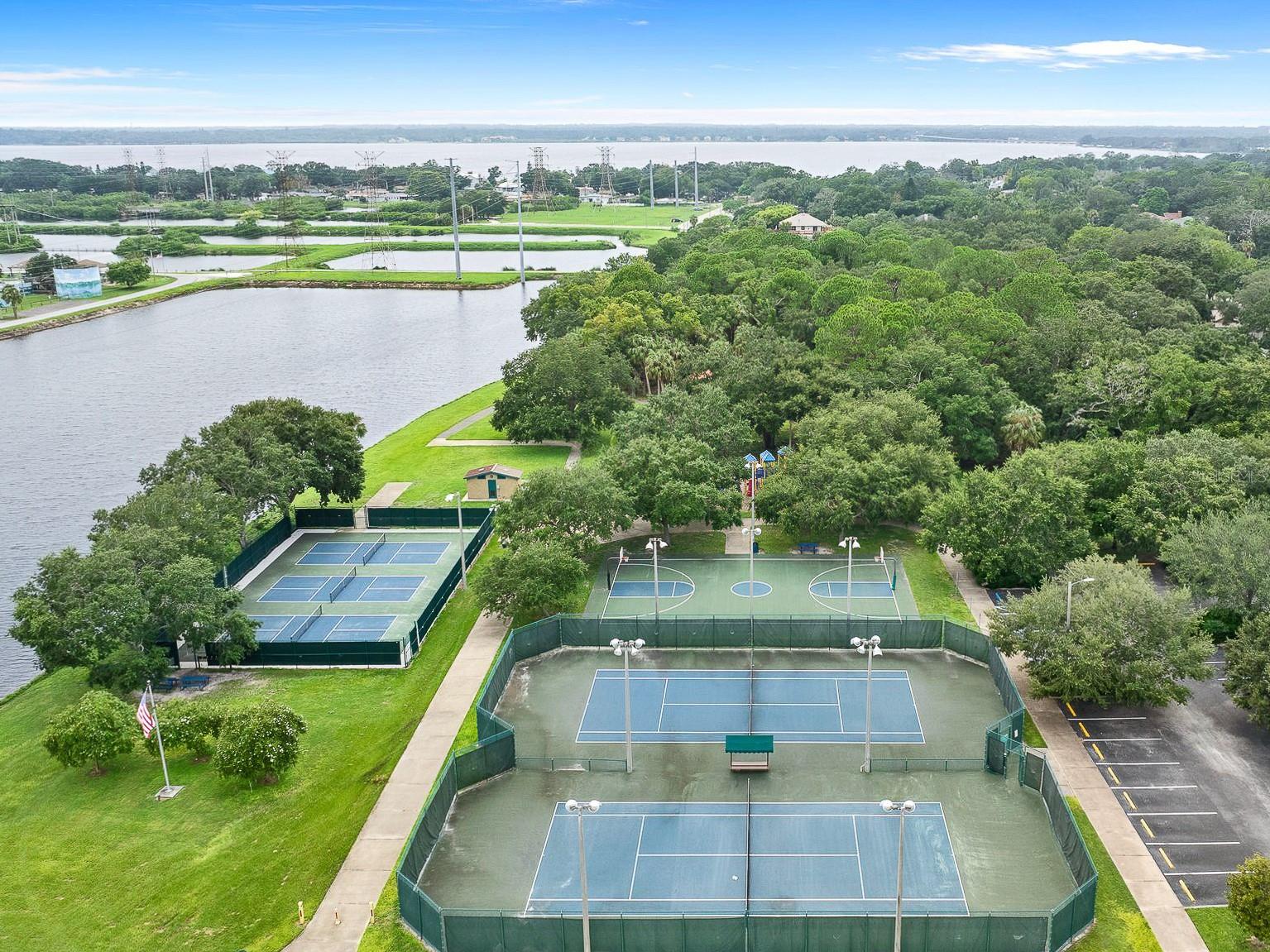 316 SHORE DR E, OLDSMAR, FL, 34677