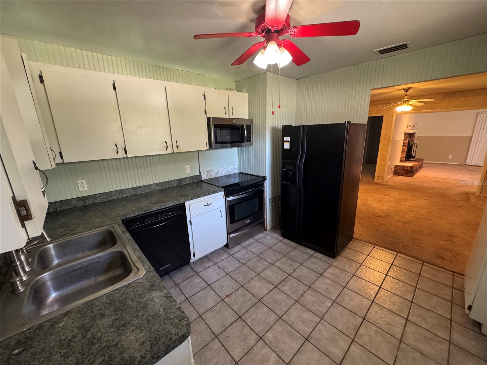 1401 CR 449, LAKE PANASOFFKEE, FL, 33538