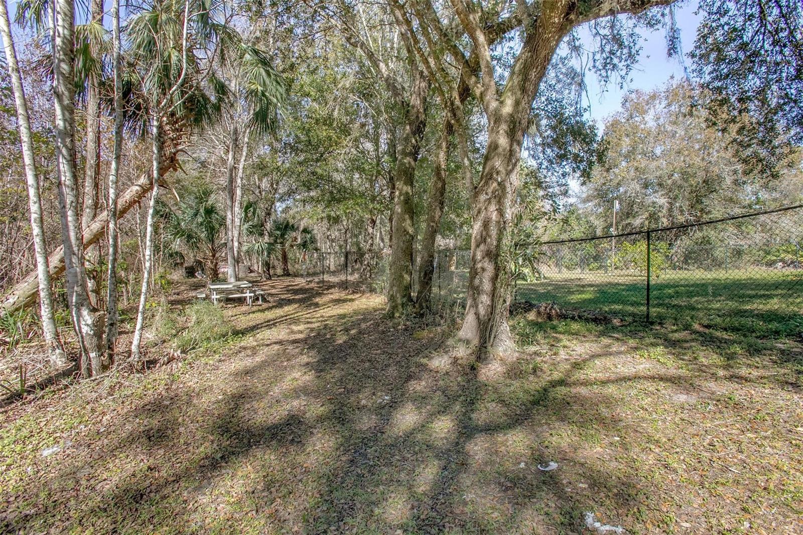 43747 CHOCTAW ST, DELAND, FL, 32720