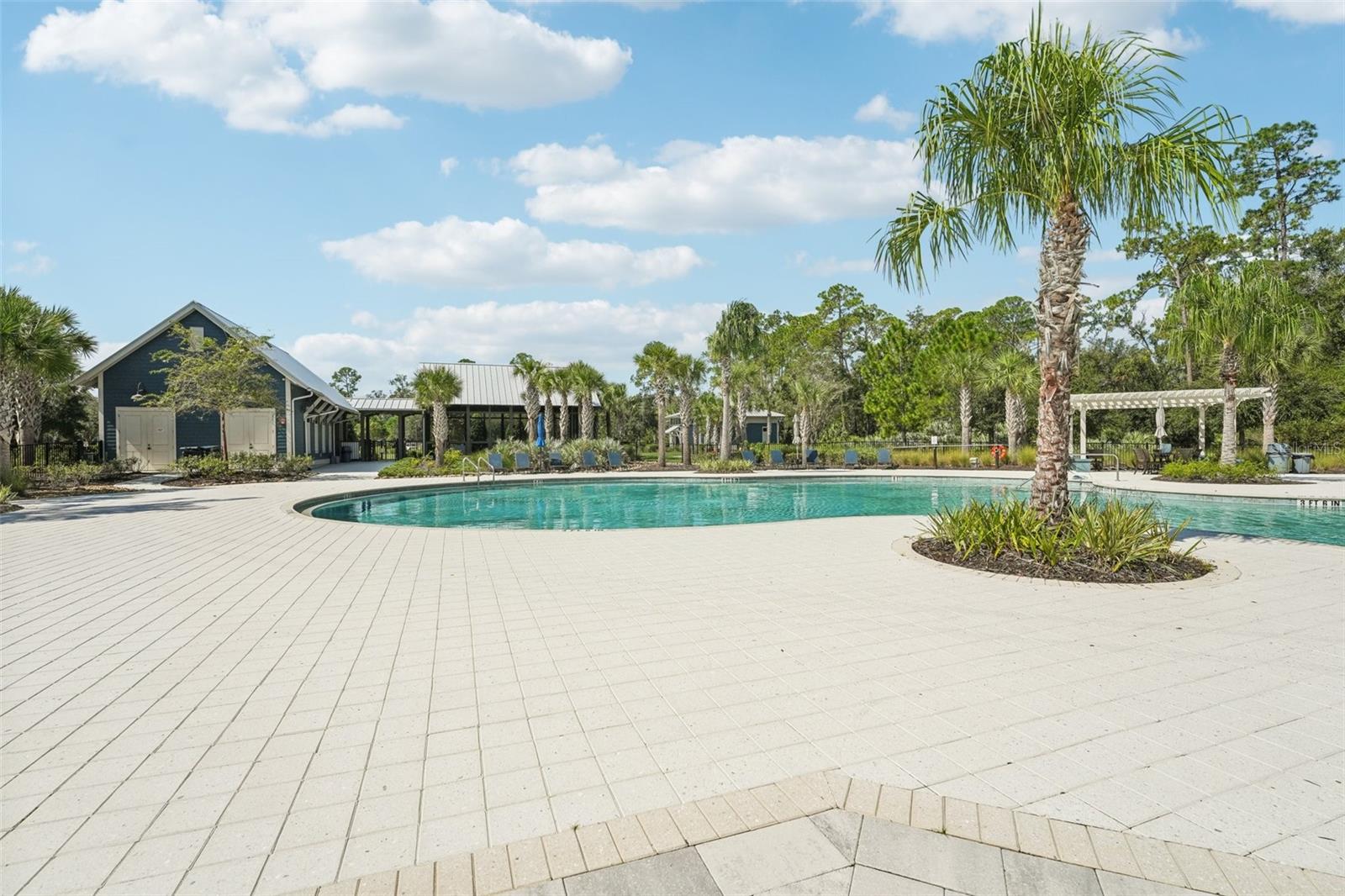 16877 RED BRICK LN, LAND O LAKES, FL, 34638