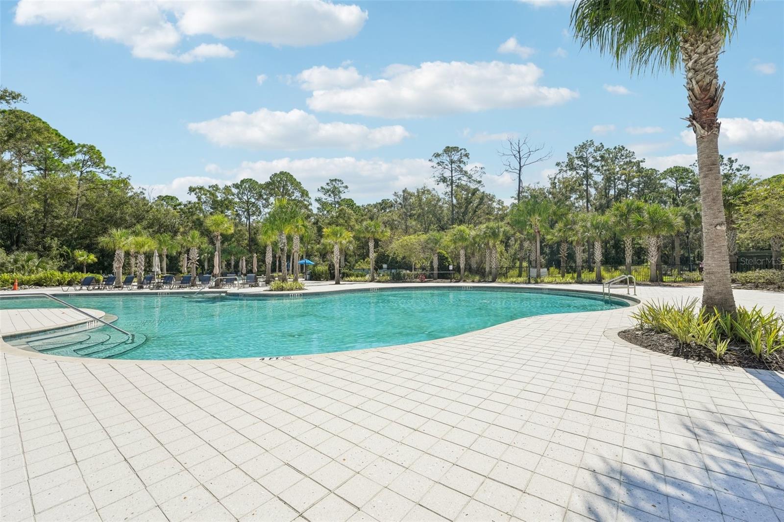 16877 RED BRICK LN, LAND O LAKES, FL, 34638