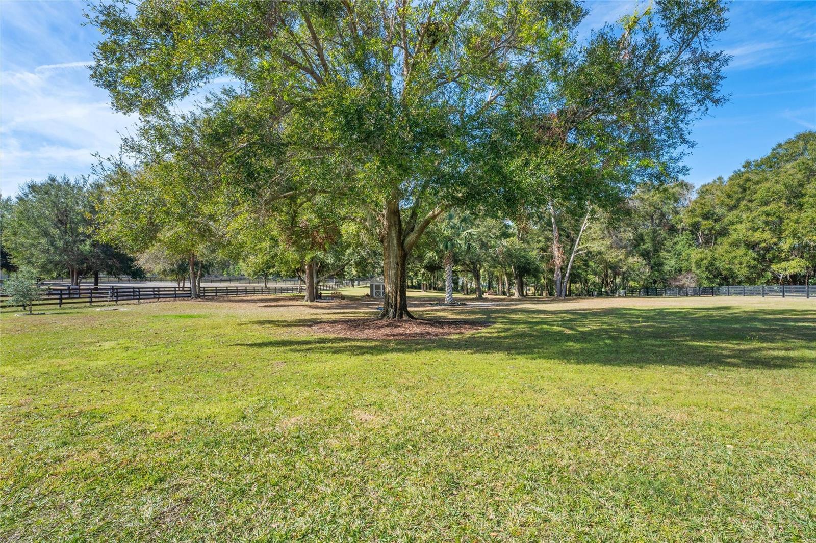 35603 SENECA RESERVE DR, EUSTIS, FL, 32736