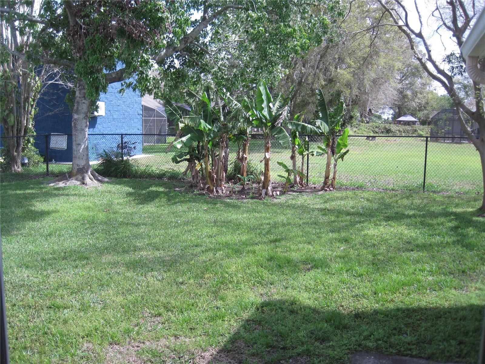 11618 GRAND BAY BLVD, CLERMONT, FL, 34711