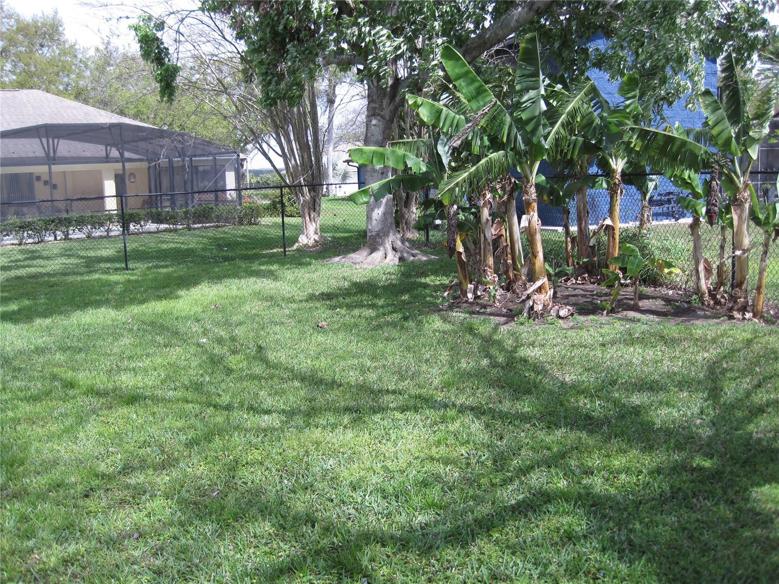 11618 GRAND BAY BLVD, CLERMONT, FL, 34711