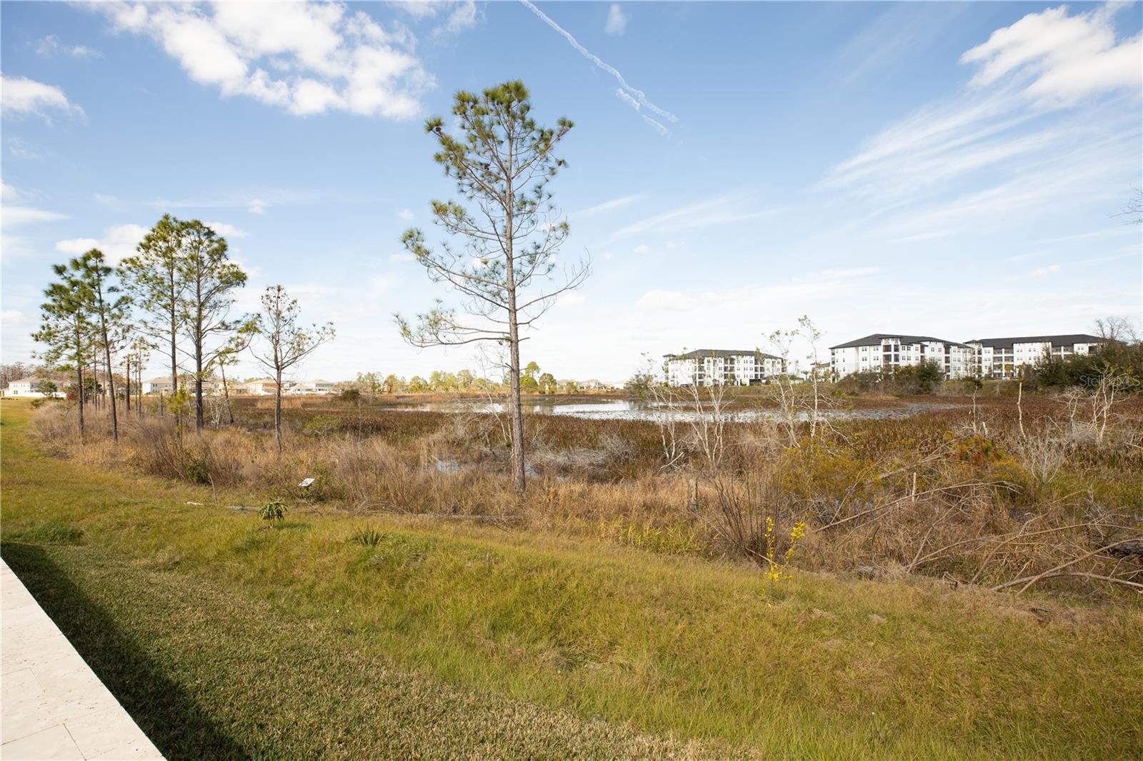 8162 SAYINGS DR, WINTER GARDEN, FL, 34787