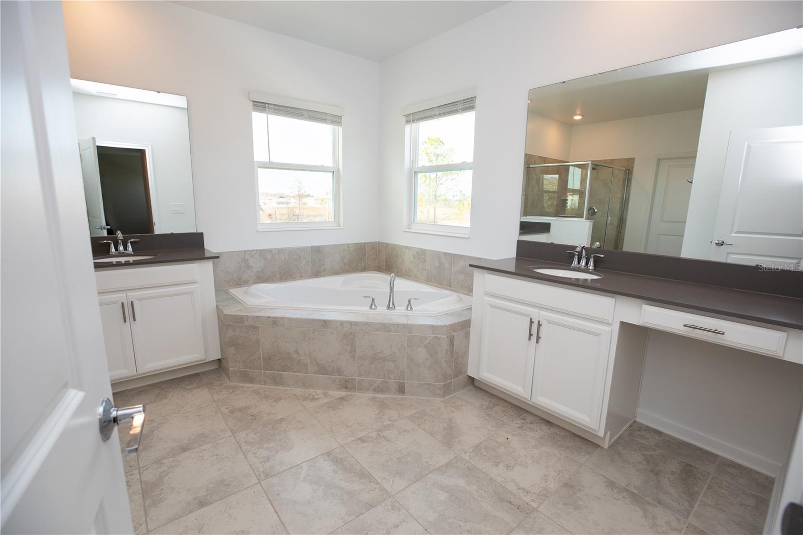 8162 SAYINGS DR, WINTER GARDEN, FL, 34787