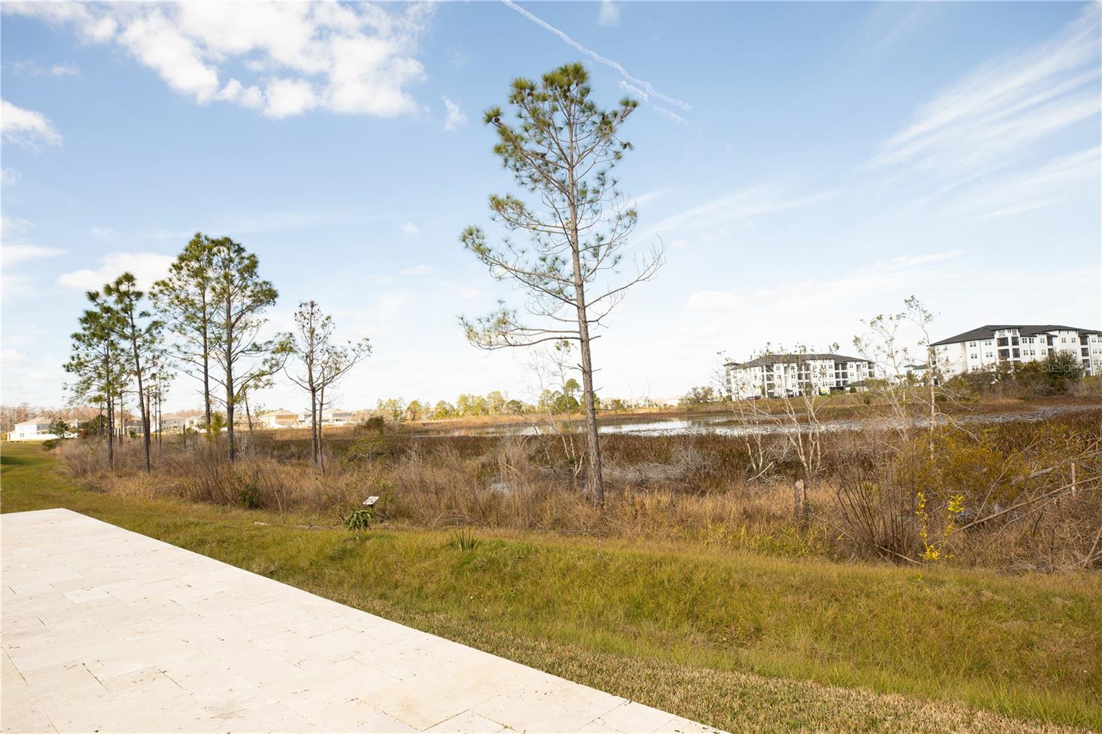 8162 SAYINGS DR, WINTER GARDEN, FL, 34787