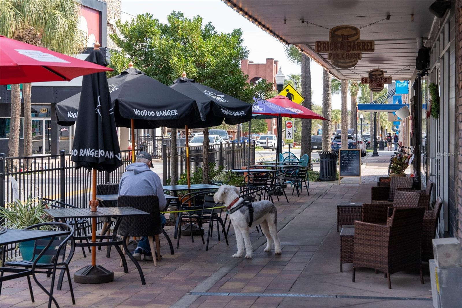 9552 STARLING LOOP, LEESBURG, FL, 34788