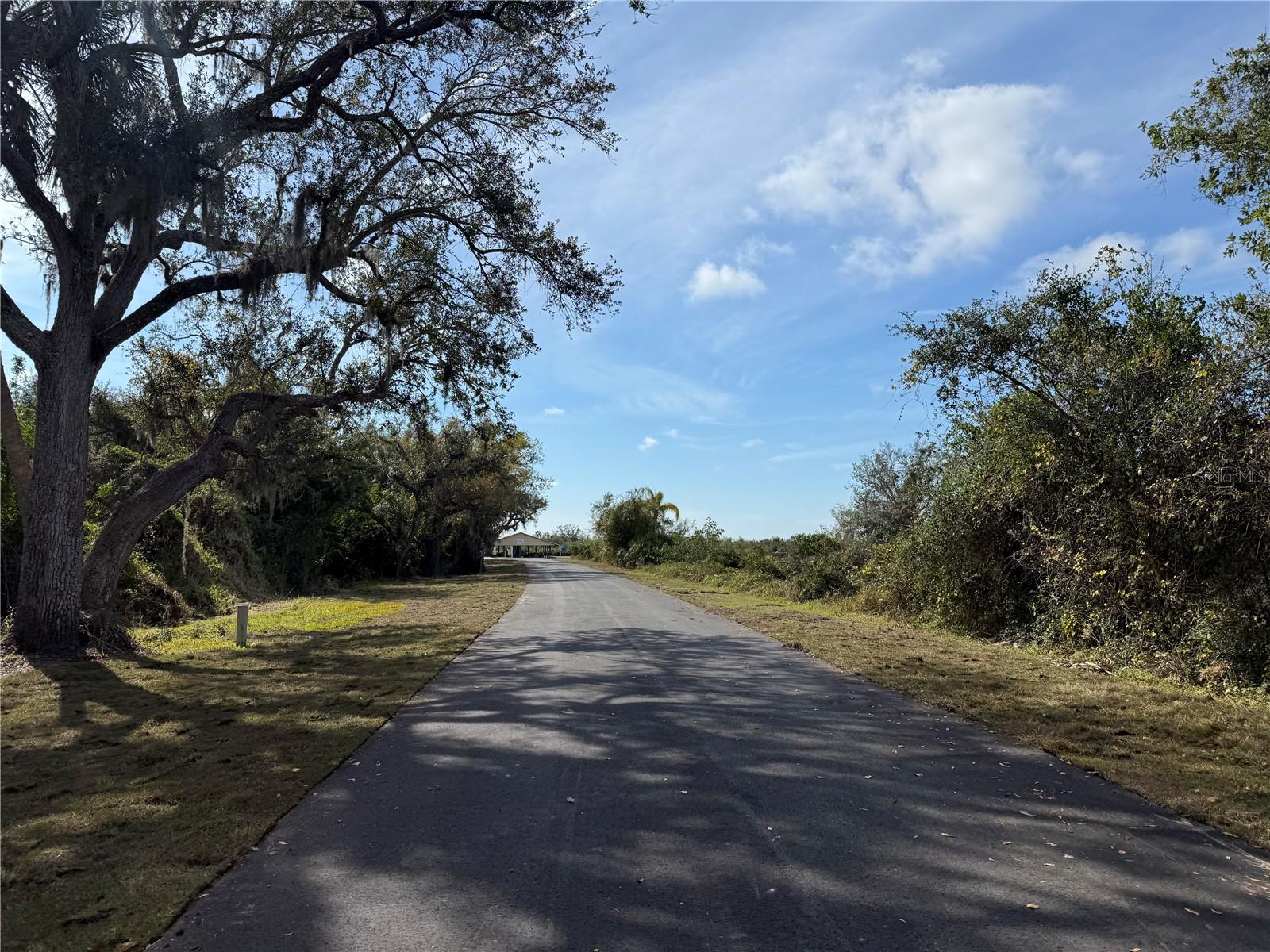 8686 SW LIVERPOOL RD, ARCADIA, FL, 34269