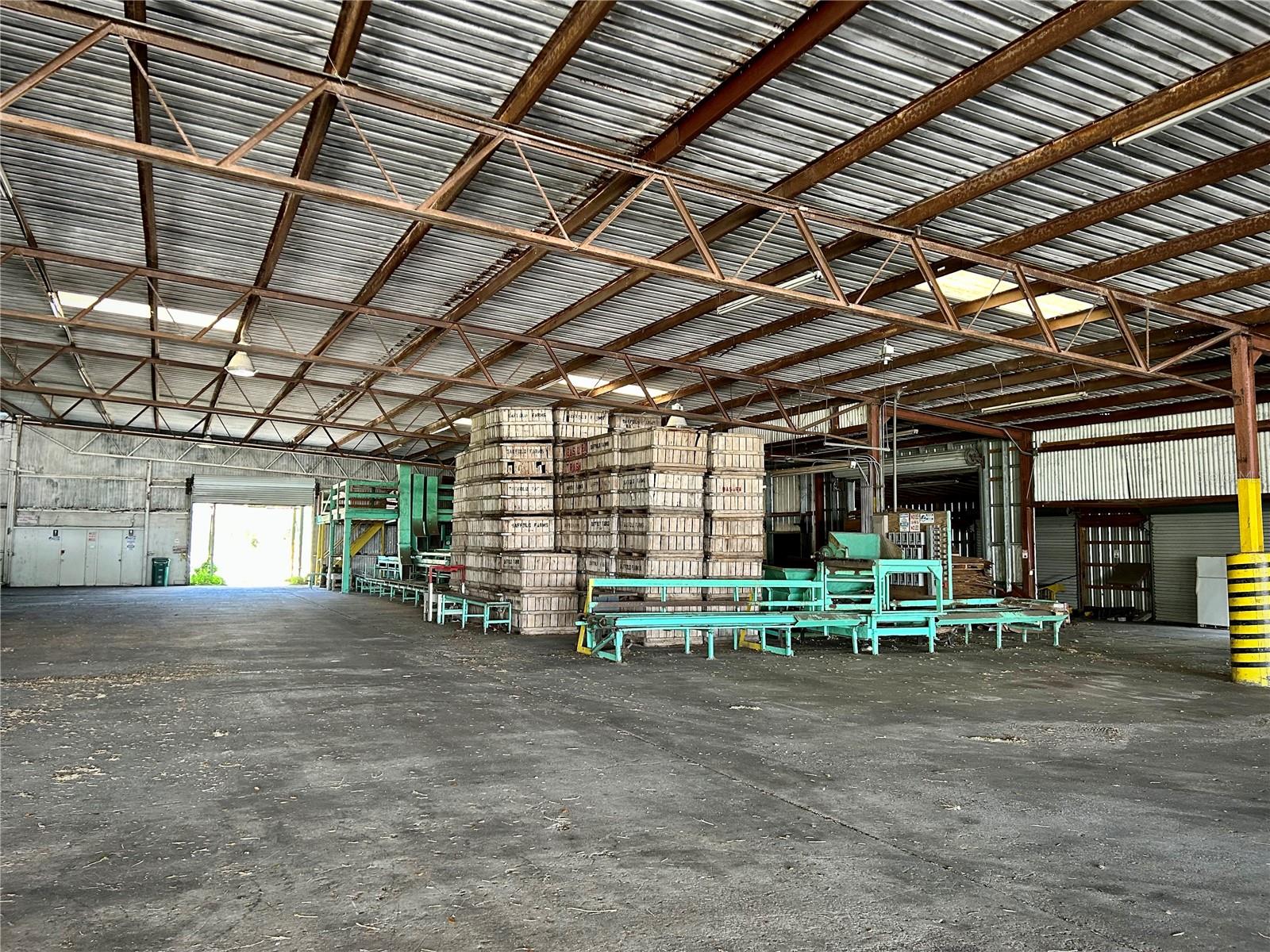 14375 SAFFOLD RD, WIMAUMA, FL, 33598
