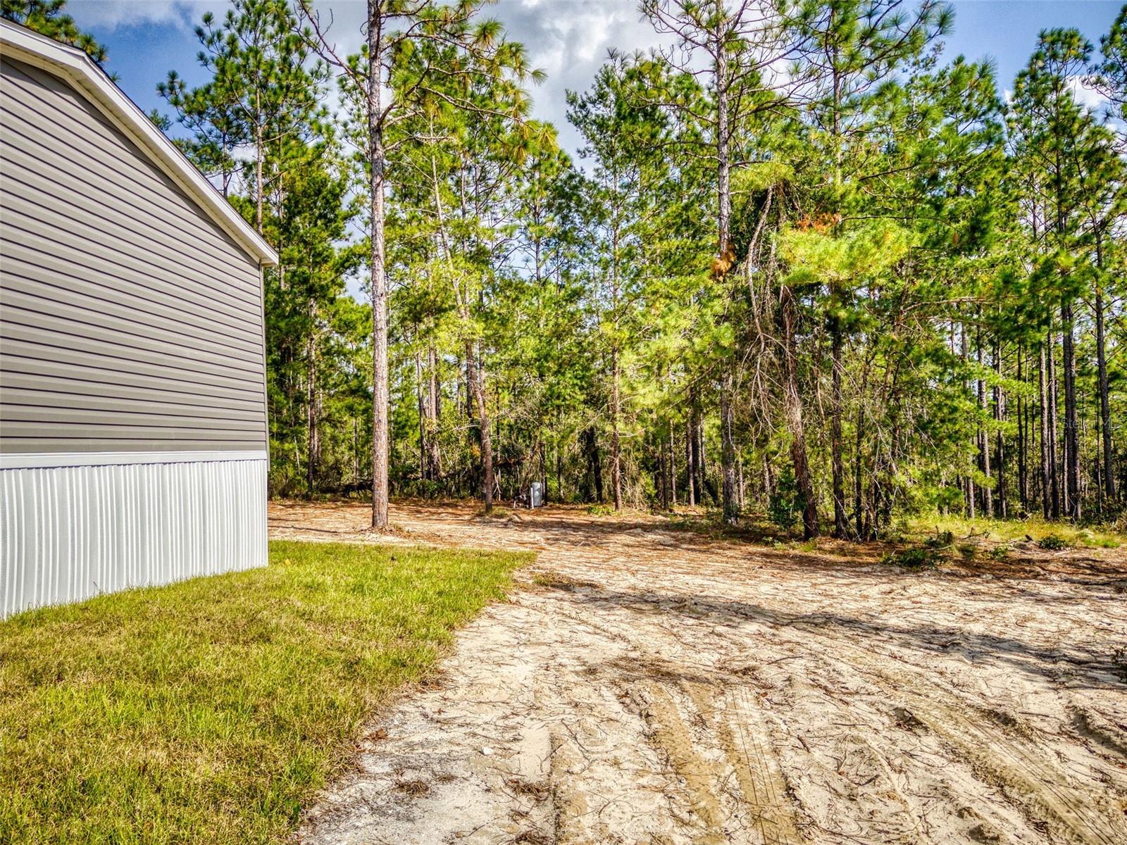 641 NE 130TH AVE, WILLISTON, FL, 32696