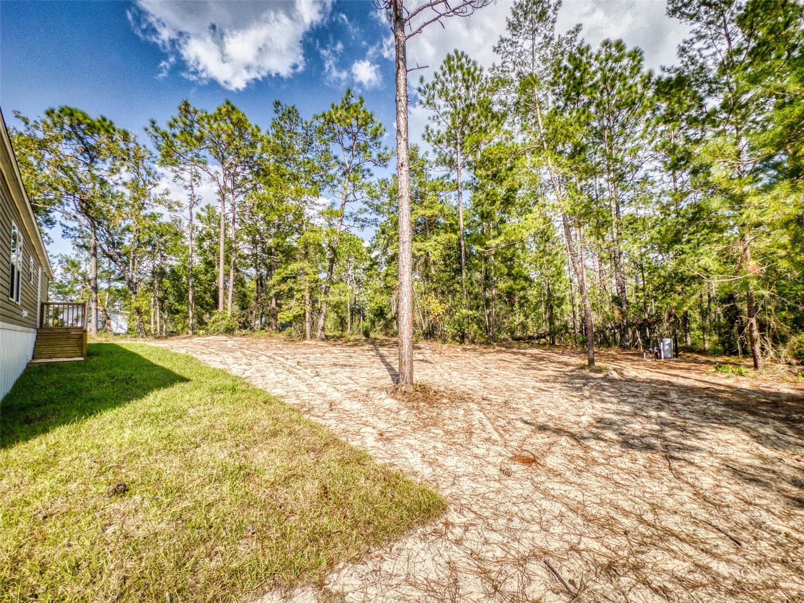 641 NE 130TH AVE, WILLISTON, FL, 32696