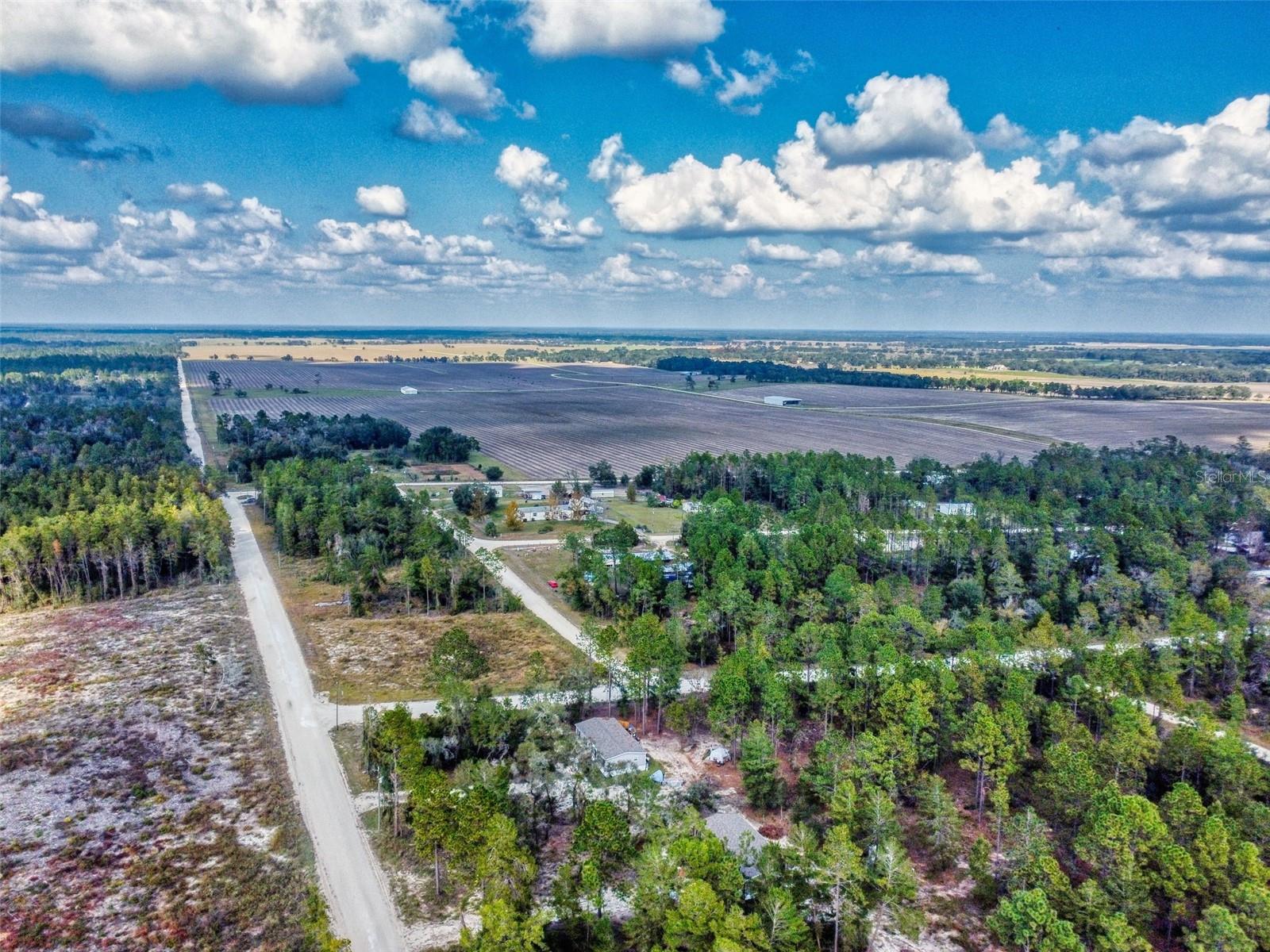 641 NE 130TH AVE, WILLISTON, FL, 32696