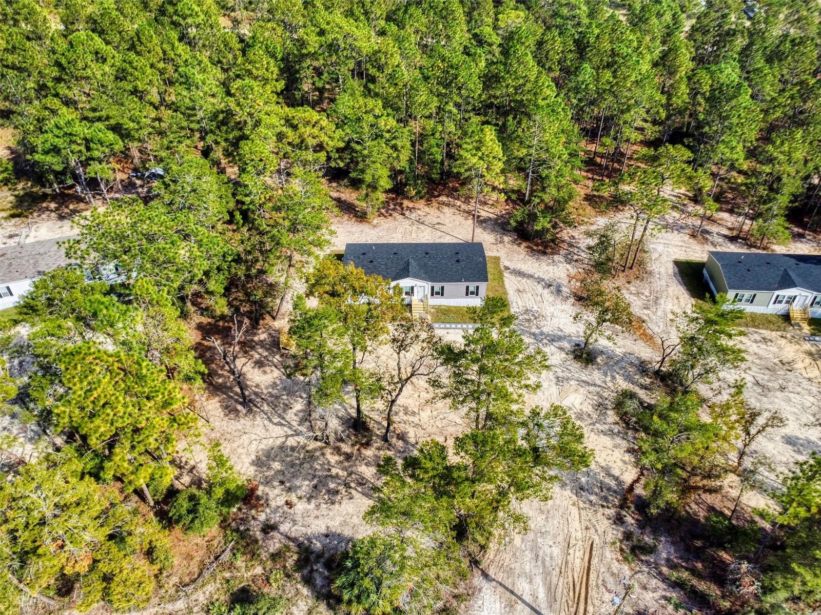 641 NE 130TH AVE, WILLISTON, FL, 32696