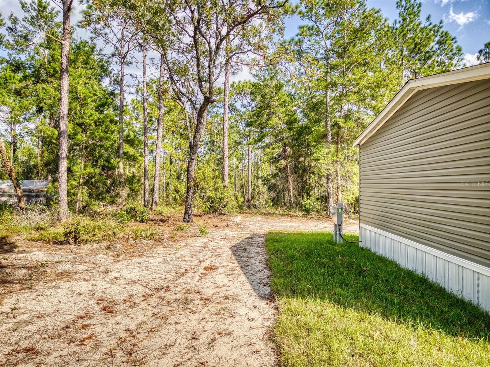 641 NE 130TH AVE, WILLISTON, FL, 32696