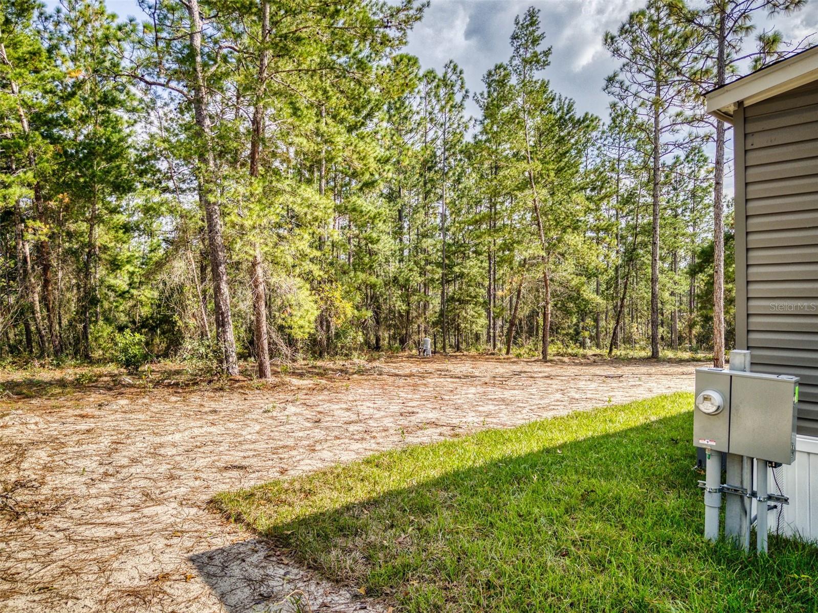 641 NE 130TH AVE, WILLISTON, FL, 32696