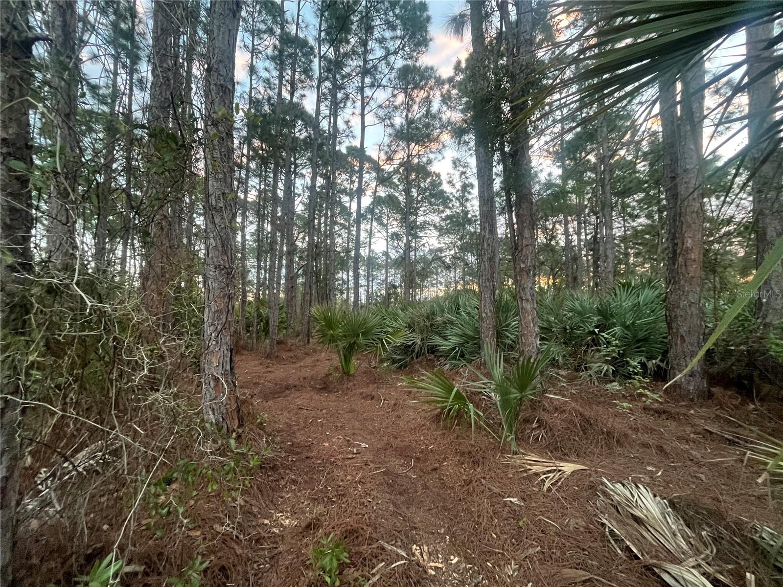 2633 QUINCY AVE SE, PALM BAY, FL, 32909