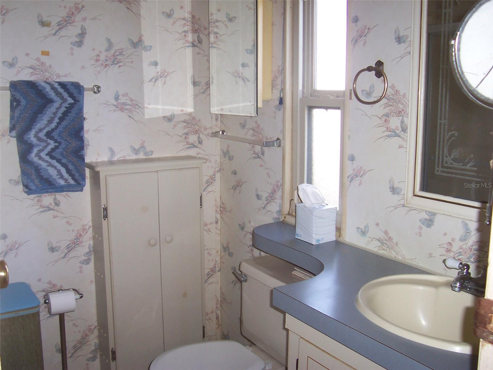 36110 ASTER AVE, ZEPHYRHILLS, FL, 33541