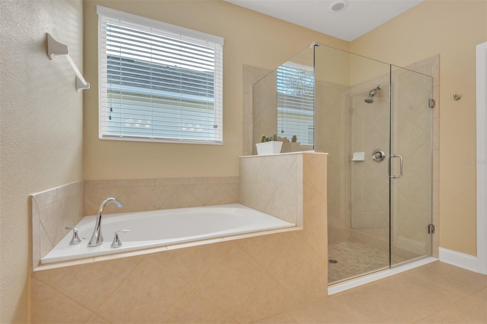 8013 NAVEL ORANGE LN, WINTER GARDEN, FL, 34787