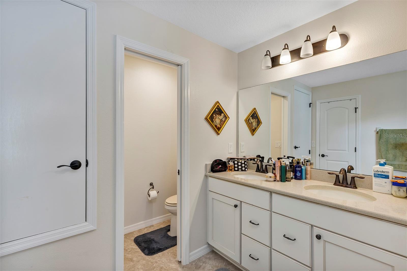 26637 OTTER CREEK LN, LEESBURG, FL, 34748