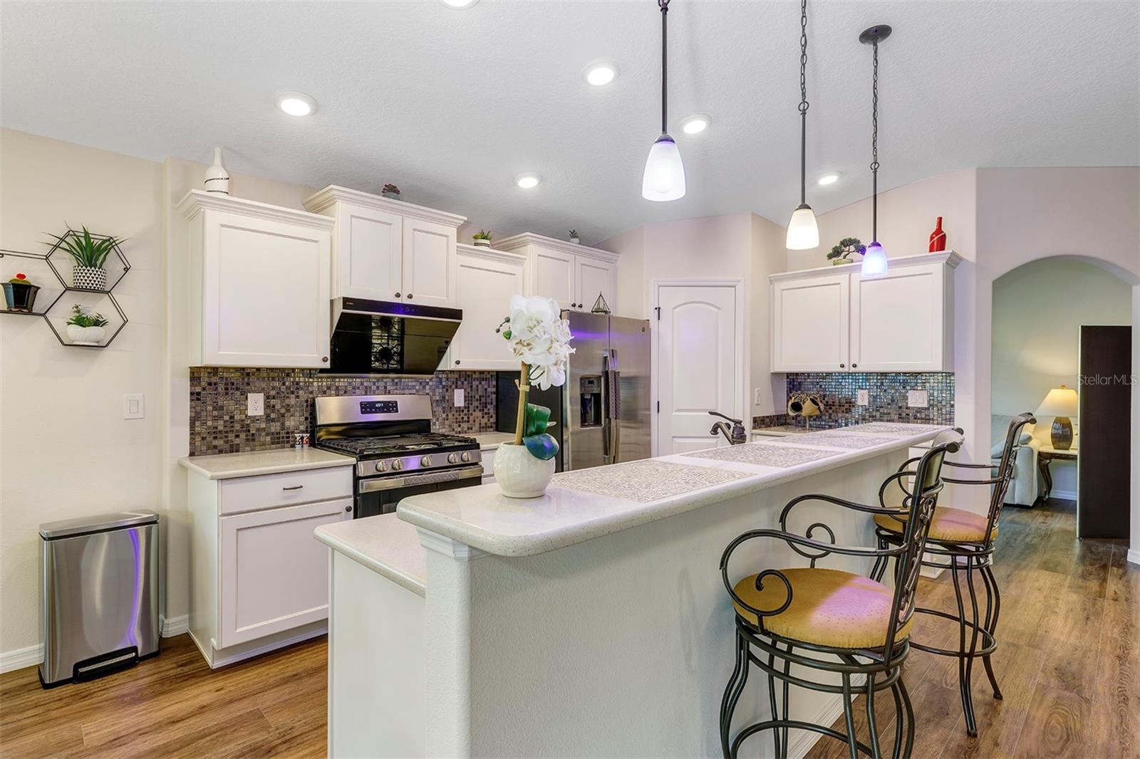 26637 OTTER CREEK LN, LEESBURG, FL, 34748
