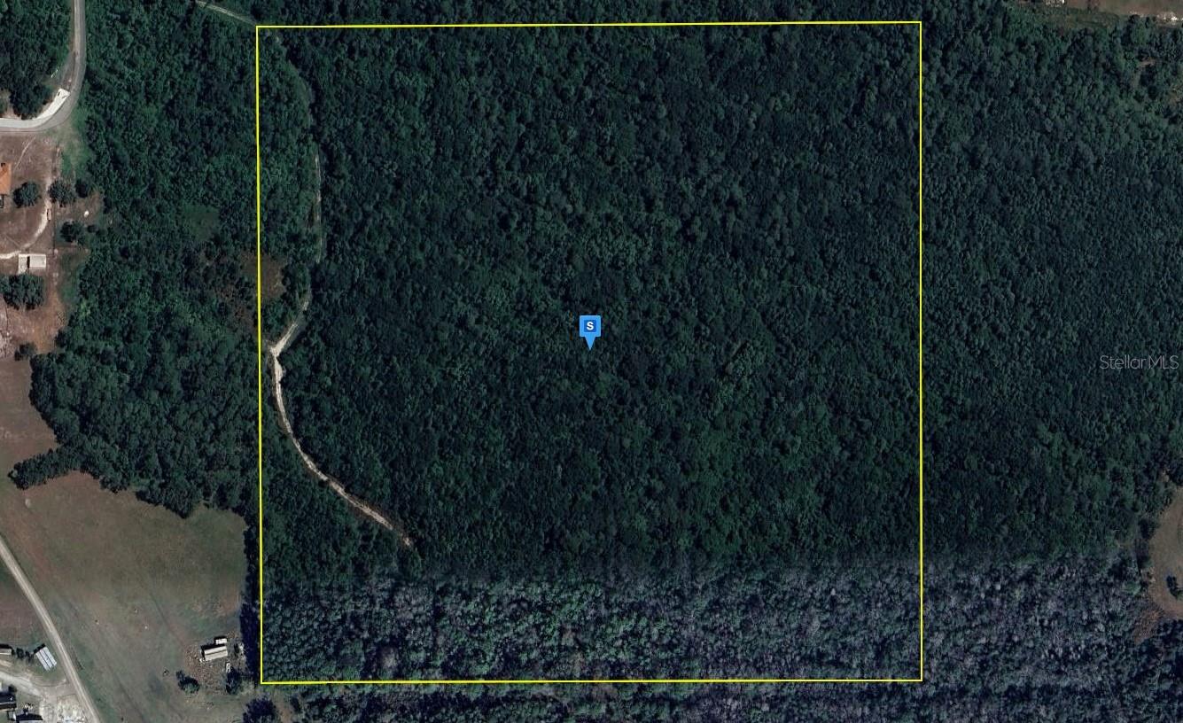 6590 HIDDEN GROVE RD, CLERMONT, FL, 34714