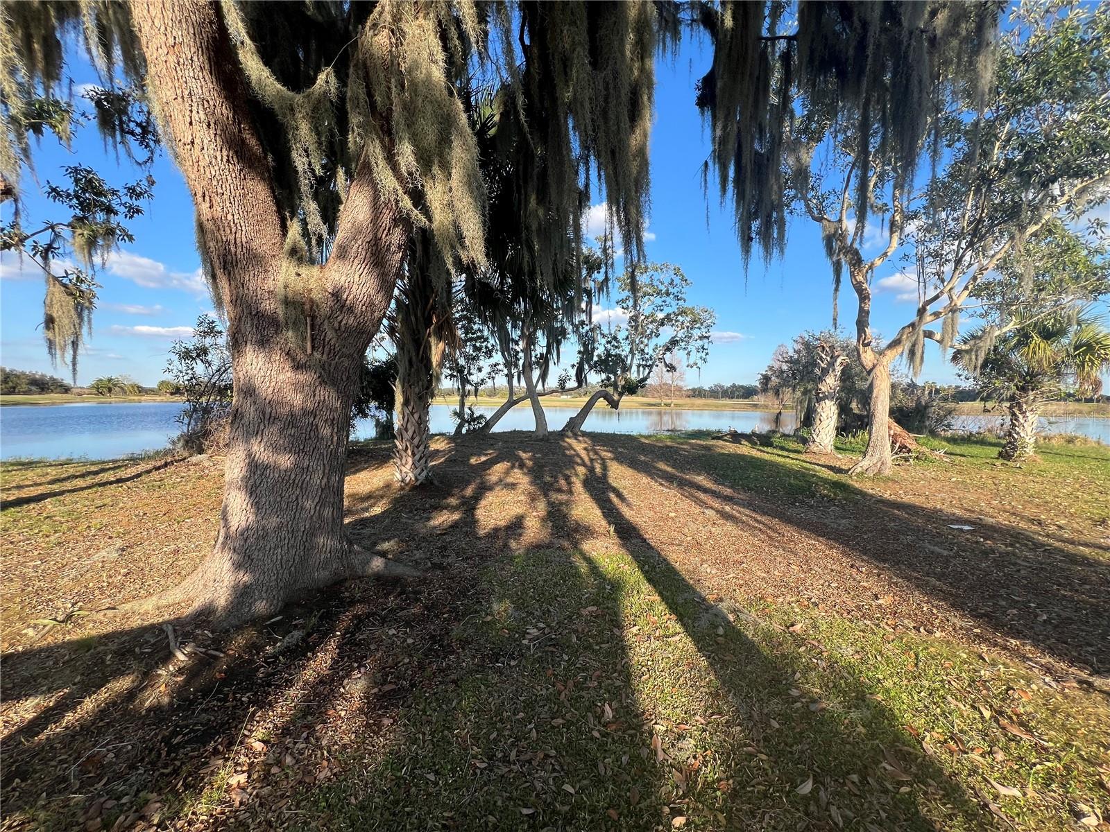 1125 BLUE JAY DR, DAVENPORT, FL, 33837